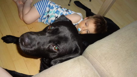 Disse dage elsker Dixon at sove op ad vores hund Charlie, som heldigvis er jordens mest tålmodige hund